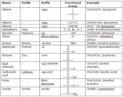 List Amino Acids And Their Functions Yahoo Image Search