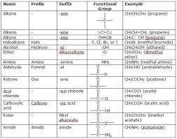 list amino acids and their functions yahoo image search