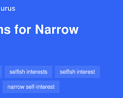 Limited interests