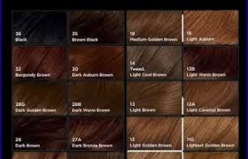 Brown Hair Colors Chart Hair Color Ideas And Styles For 2018