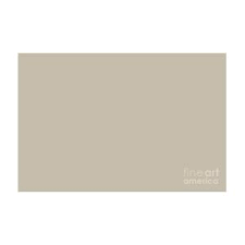 Color of the month september 2019 shiitake tinted by sherwin williams. Sherwin Williams Trending Colors Of 2019 Shiitake Light Beige Brown Sw 9173 Solid Color Digital Art By Melissa Fague