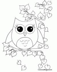 Dibujos Para Colorear De Buhos