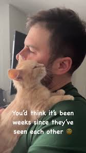 I was asked to help with trapping a couple cats and this precious thing  unexpectedly popped out of nowhere and of course no one gets left behind!!  Right Lynn Legault!? Furball rehab