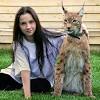 Lynx are covered with beautiful thick fur that keeps them warm during frigid winters. 3