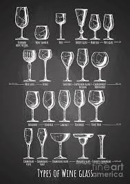 Types Of Wine Glass Drawing By Alexander Babich
