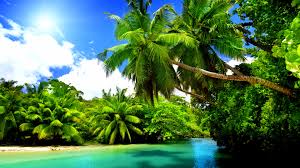 Ultra 4k 5k 8k 3840x2160 3840x2400. Tropical Nature 4k Wallpaper