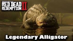 Protect yourself by using the dead eye. Why Can T I Find The Legendary Alligator Red Dead Redemption 2 Youtube