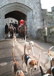 Does two weeks seem long? Fox Hunting Wikipedia