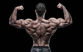 Atp supplies high levels of energy to your muscles, but only in brief bursts. 35 Best Biceps In History Muscle Strength