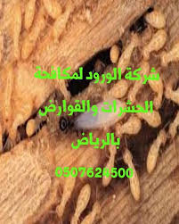 New The 10 Best Fashion With Pictures شركة الورود لتنظيف المنازل الكنب الموكيت رش مبيد لجميع أنواع الحشرات الصراصير النمل الاسود النمل ال Food Beef Meat