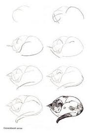 How To Draw A Sleeping Cat Step By Step Google Search Catdrawing Tecnicas De Desenho Tutoriais De Desenho Esbocos De Animais Polish your personal project or design with these sleeping cat transparent png images, make it even more personalized and more attractive. pinterest
