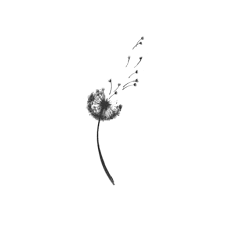 Free returns are available for the shipping address you chose. Dandelion Temporary Tattoo Feminine Tattoo Girly Tattoo Pretty Tattoo Flower Tattoo Taraxacum Tattoo Beautiful