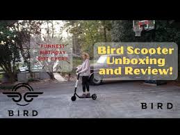Bird Es1 300 Electric Scooter Review Unboxing And Review Bird Es1 300 Electric Scooter My Wife S Birthday Present Best One Ever Youtube