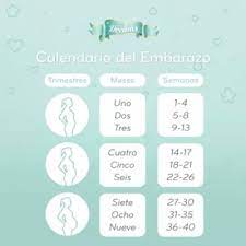 Si quieres conocer más detalles y toda la información sobre la semana 22 de embarazo no dejes de leer los siguientes artículos Semana 27 De Cuantos Meses Estoy Semana 27 De Turbacion