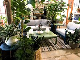 Get growing when you shop the home depot garden center for garden supplies, flowers and more. Houseplant Care Tips For Plant Shopping Los Angeles Times