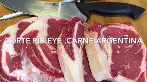 We did not find results for: Carne De Res Corte Rib Eye A La Parrilla Cut Beef Grilled Rib Eye Youtube