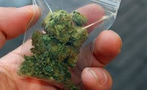 ÎÏÎ¿ÏÎ­Î»ÎµÏÎ¼Î± ÎµÎ¹ÎºÏÎ½Î±Ï Î³Î¹Î± Î¼Î¹ÎºÏÎ¿ÏÎ¿ÏÏÏÎ·ÏÎ± Î½Î±ÏÎºÏÏÎ¹ÎºÏÎ½