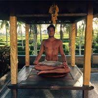 David Dwek (davidd3552)