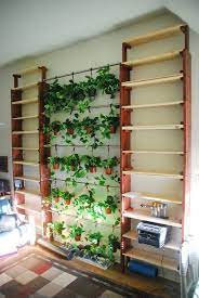 An edition of the herb garden (garden bookshelf) (2006). Pin On Home Improvement