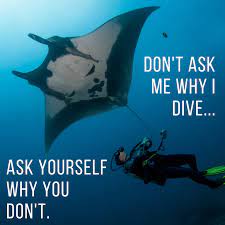 Don T Ask Me Why I Dive Ask Yourself Why You Don T Scuba Diving Quotes Diving Quotes Scuba Diving