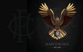 See photos, profile pictures and albums from hawthorn football club. Workshop Design Iphone Ipad Afl Wallpapers Workshop Design Afl Art Logo