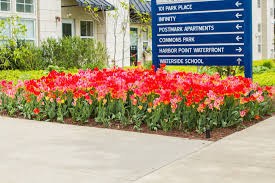 Best things to do on a family day out in greenwich. Commercial Landscaping Greenwich Ct Maintenance Design Stamford Ct