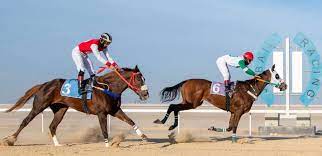 كاس السعودية لسباق الخيل 2021 القلعة