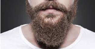 It takes 2 to 6 months to grow a full beard after you turn 18. Grow A Beard Faster 5 Tricks To A Bigger And Better Beard