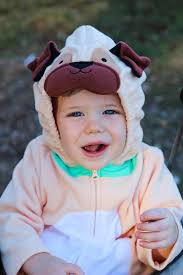 Had so much fun last week chasing this little pug around during his  Halloween session🧡🐶