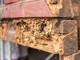Learn about the signs of termite damage and how to prevent an infestation in your home. The Basics Of Termite Bonds When You Need One Millionacres