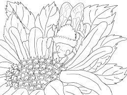 Flowers give us a very nice feeling and they can be do show them good places to put flowery colors so that they are happy with their special picture. Scenery Coloring Pages For Adults Best Coloring Pages For Kids