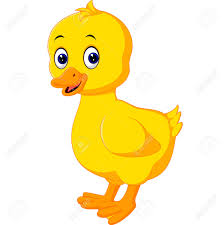 Pato