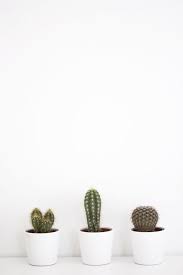 New Wallpaper Iphone Simple Cactus Ideas Plant Wallpaper New Wallpaper Iphone Minimalist Wallpaper Geometric, 8k, material design, minimal art, minimalist, 8k uhd. wallpaper iphone simple cactus ideas