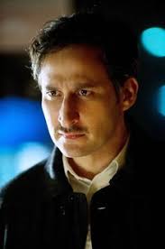 Raoul Bhaneja Pictures