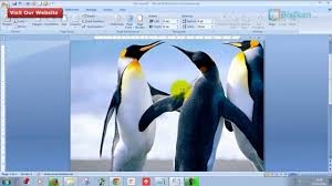 Cara Memberikan Background Gambar Pada Dokumen Microsoft Word Youtube