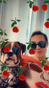 How to train a boxer dog to come when called?