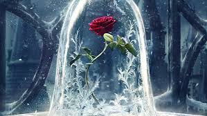 4k wallpapers of ios 14 for free download. Hd Wallpaper Fantasy Flower Rose Red Rose Winter Frost Cold Freeze Wallpaper Flare