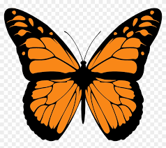 Browse our selection of monarch butterflies art prints and find the perfect design for you—created by our community of independent artists. Clip Art Library Stock Butterfly Big Image Png Monarch Butterfly Print Out Transparent Png 467775 Pikpng