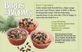 Bird Cupcake Recipe Here Bird Suet Suet Recipe Bird Cakes