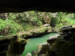 Image result for Cavacoa