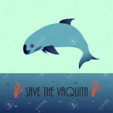 Oceanhealth.org supports strong protections of this. Vaquita Marina Blue Whale Sealife Vector Illustration Royalty Free Cliparts Vectors And Stock Illustration Image 107103647