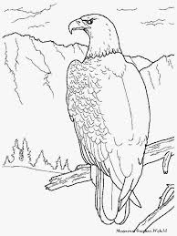 Maybe you would like to learn more about one of these? Lukisan Burung Elang Hitam Putih Cikimm Com