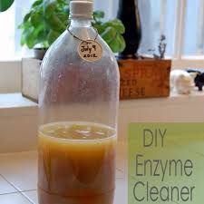 diy enzyme cleaner the results show