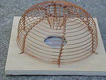 I have caught mice time and time again with these mouse traps! Mousetrap Wikipedia