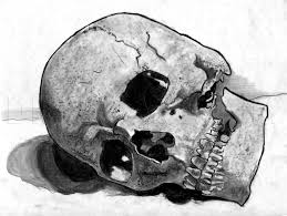 Check spelling or type a new query. How To Draw A Realistic Skull Human Skull Step By Step Drawing Guide By Catlucker Dragoart Com