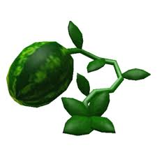 Now it's time for the watering fun. Watermelon Plant Welcome To Bloxburg Wiki Fandom