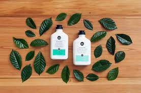 Depositphotos dropshipping natural hair care products. Reasons To Choose Plant Based Hair Care Whole Foods Market