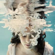 swimming in orchids? by Elena Kalis