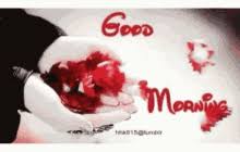 Good morning darling, hope when you open your eyes you read this, i wish your day goes as planned and more than amazing! Good Morning With Love Gifs Tenor
