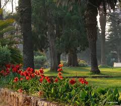 Centenary Park Bulawayo Bulawayo Africa Park